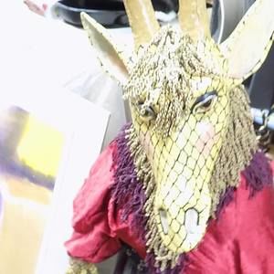 Meet your Posher, Patsy